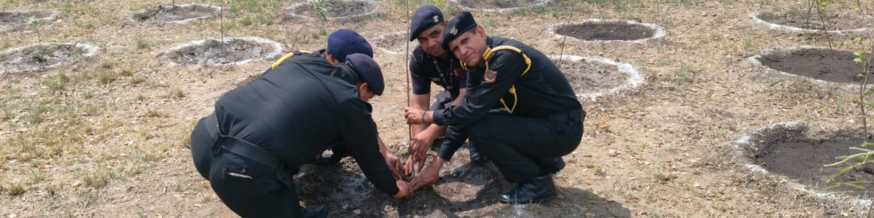 RO Noida tree paltation
